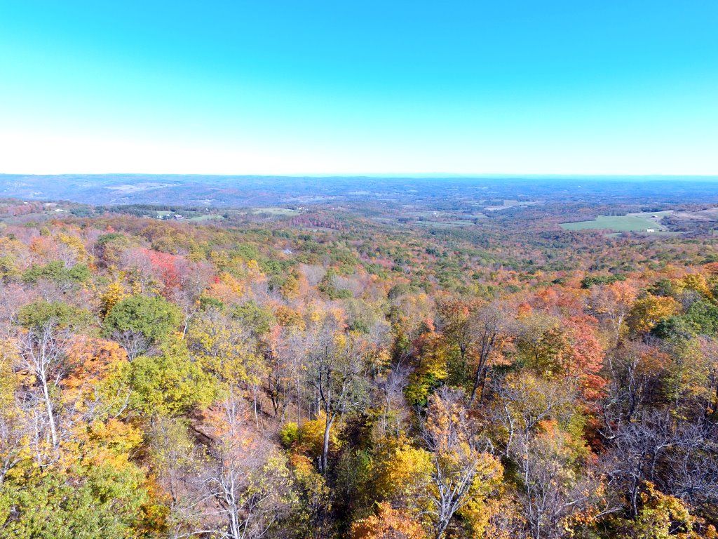 Potential Views With Clearing Potential Views With Clearing